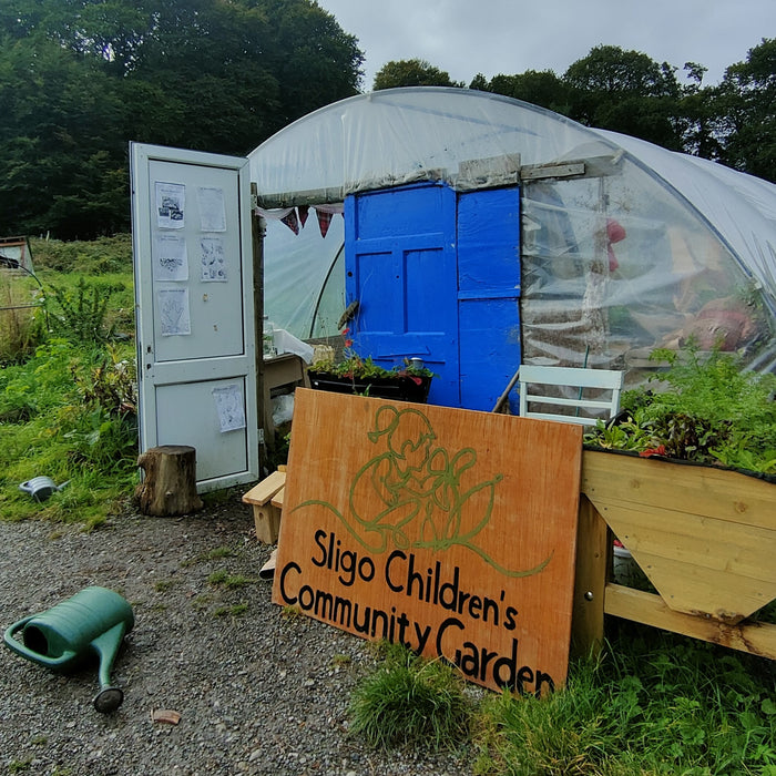 Visit to Sligo Children Community Garden