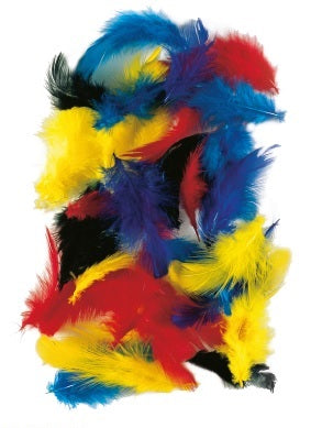 Craft Feathers 5-7 cm (4 assorted colours)