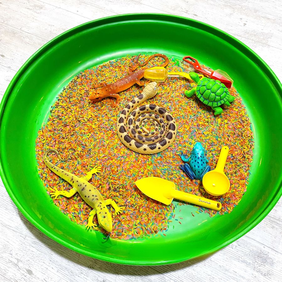 Green-Play-Tray-With-Rice-and-Reptiles.jpg