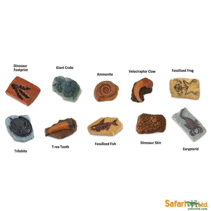 Safari Toobs - Ancient Fossils (10pcs)