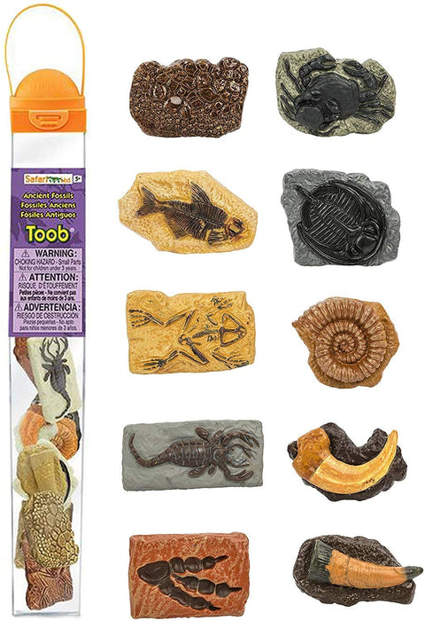 Fossils of dinosaur footprints, giant crab, ammonite, raptor claw, fossilized frog, trilobite, T-Rex tooth, fossilized fish, dinosaur skin and sea scorpion. Become an archaeologist in the comfort of your own home exploring these realistic animal fossils. 