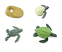 Four figures to represent the life cycle of a turtle. Eggs in sand, hatchlings, turtle and adult. Add into any sensory base to create a role play.