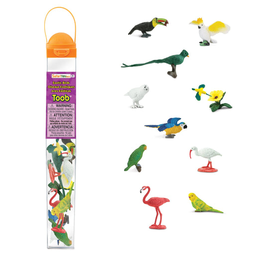 Exotic birds that we can find in some of the most stunning places in the world all in your own home or classroom. Contains  Parakeet, Quetzal, Yellow Macaw, Humming Bird, Hibiscus Flower, Keel-Billed Toucan, Cockatoo, Flamingo, White Ibis, Snowy Owl, and a Greet Parrot.