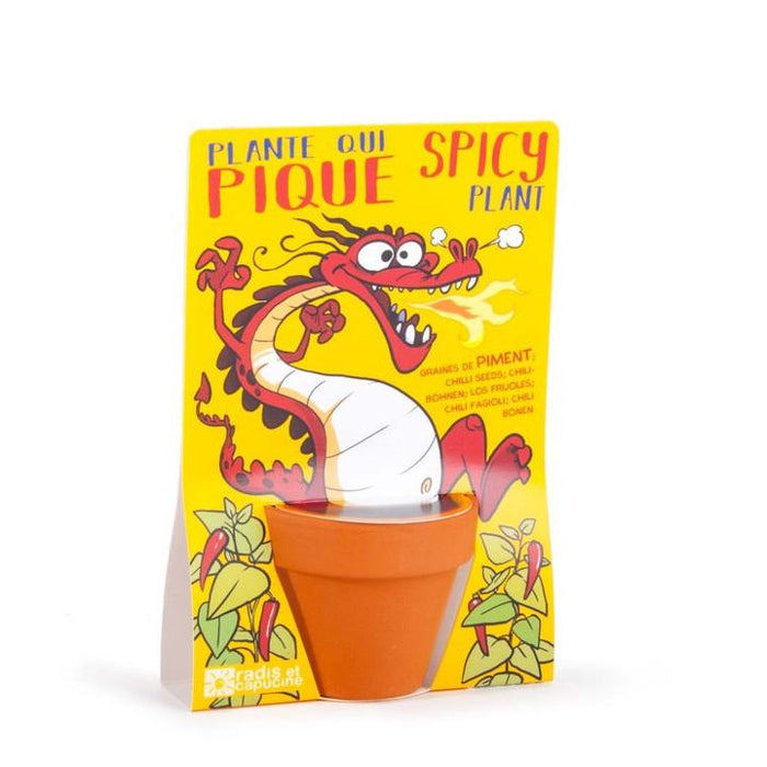 Growing Kit: Dragon - Cayenne pepper seeds