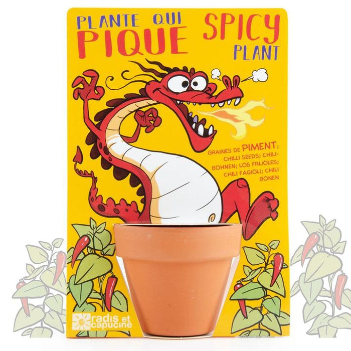 Growing Kit: Dragon - Cayenne pepper seeds