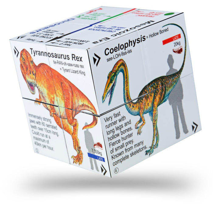 ZBK Factual Dinosaur Cubebook